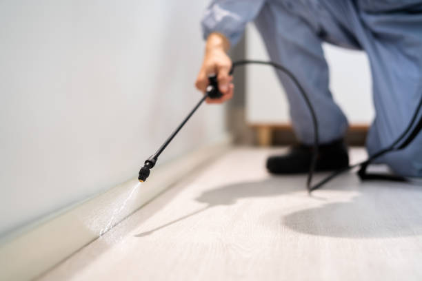 Licensed Cockroach Control service in Westwood, KS - Nex Pest Control