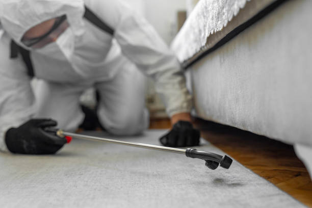 Professional Cockroach Control technician working in Westwood, KS