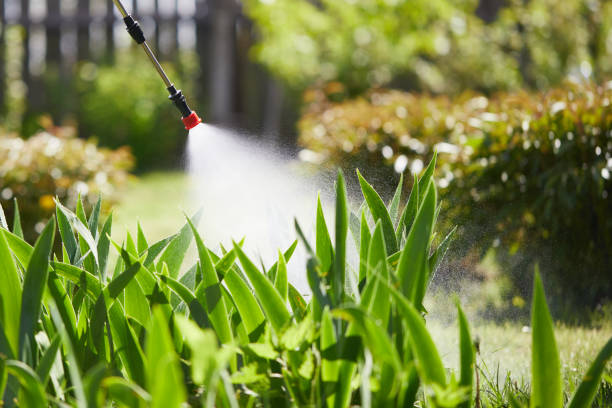 24/7 Emergency Cockroach Control experts in Westwood, KS