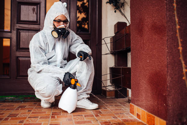 Reliable Cockroach Control contractor in Westwood, KS by Nex Pest Control