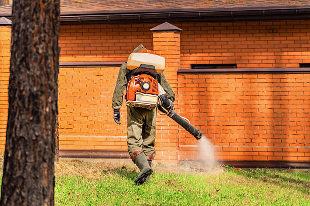 Trusted Emergency Pest Control service in Westwood, KS - Nex Pest Control